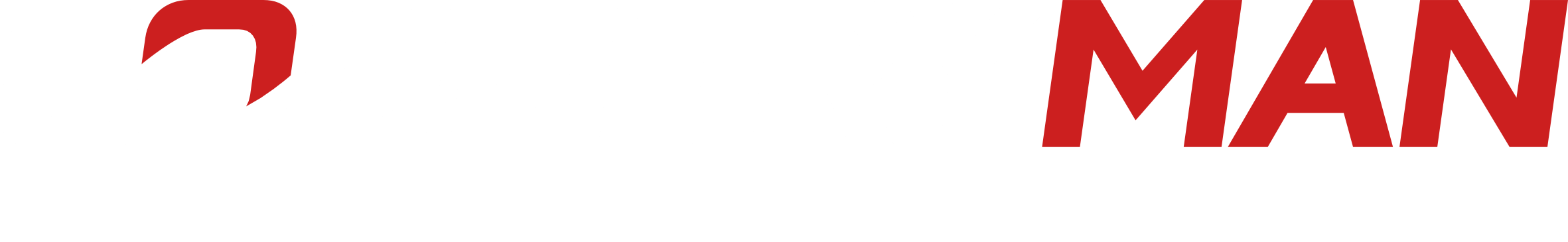 Countryman logo_White